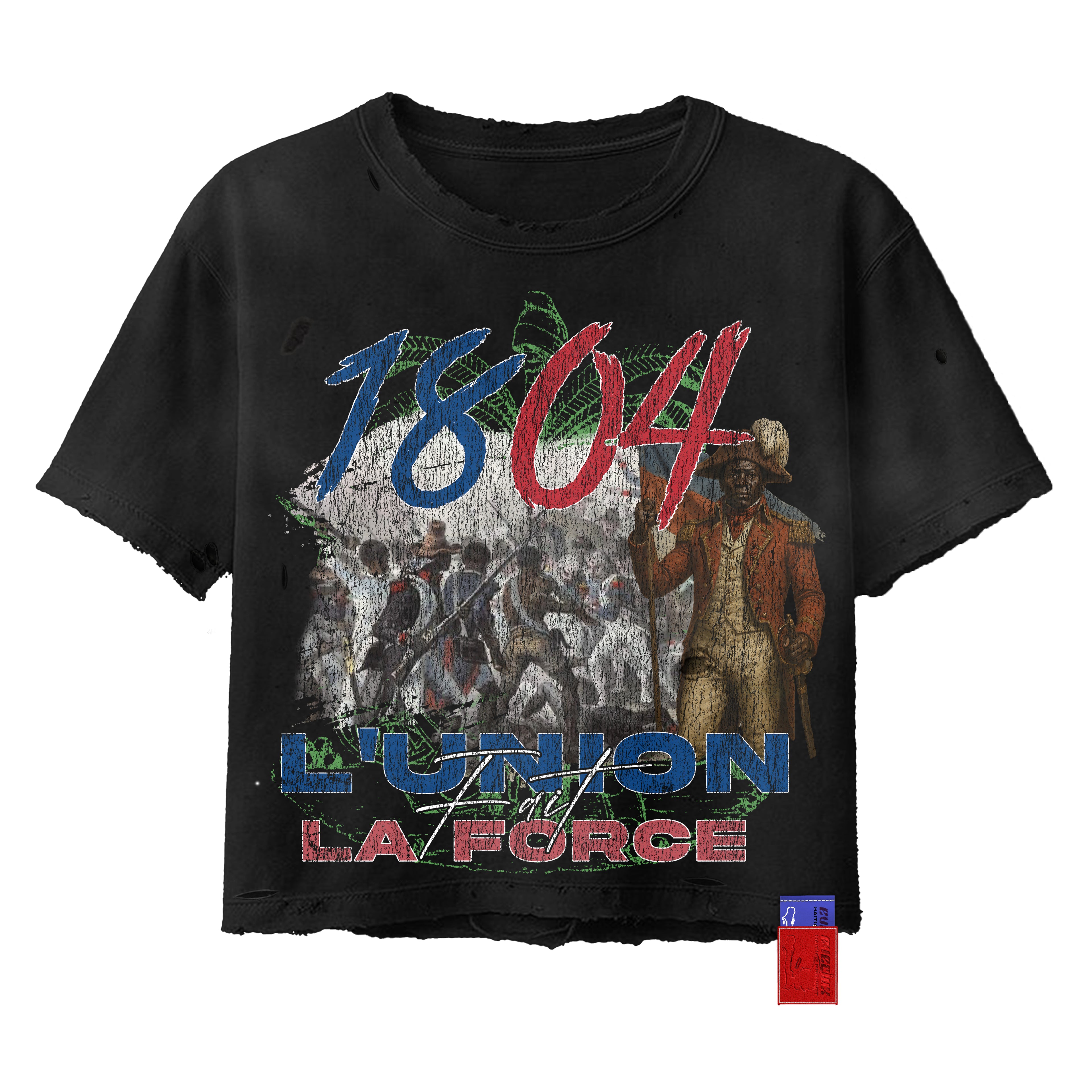 Everlux Haitian Project